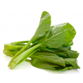 Fresh Vegetables