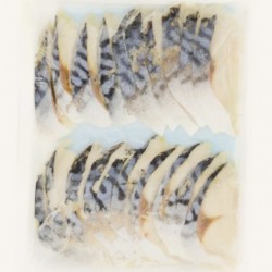 SHIME SABA SLICE 20PC